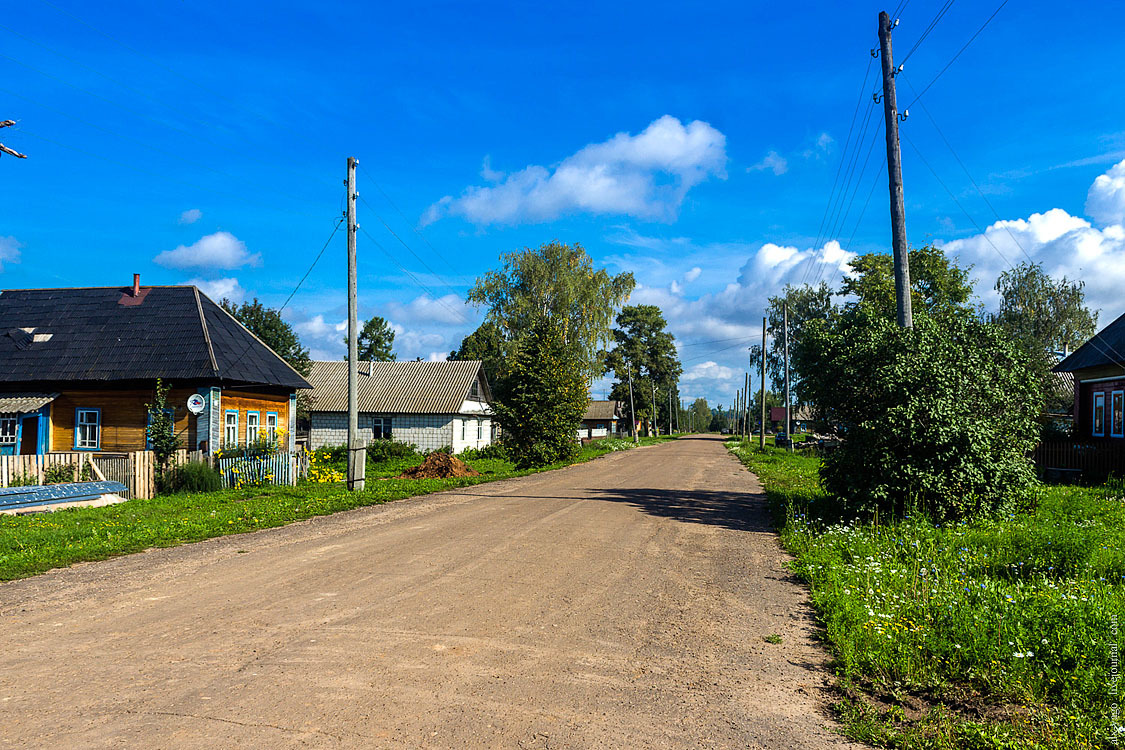 Фото лебяжья кировской