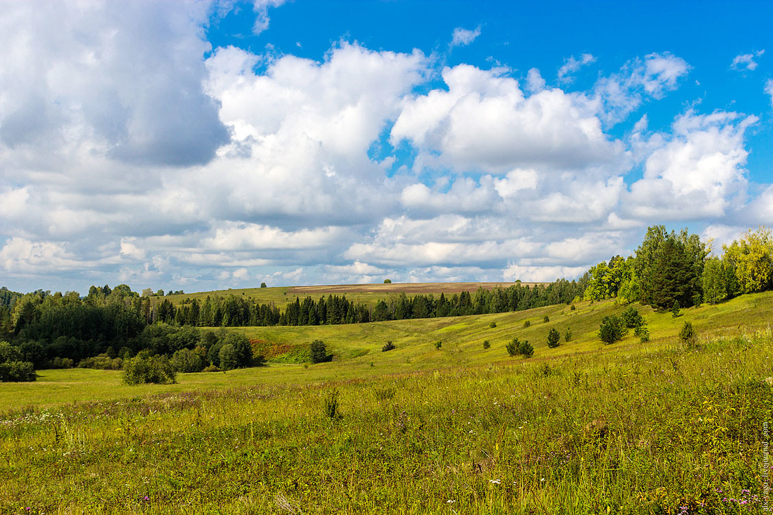 Лебяжье кировская область фото поселка