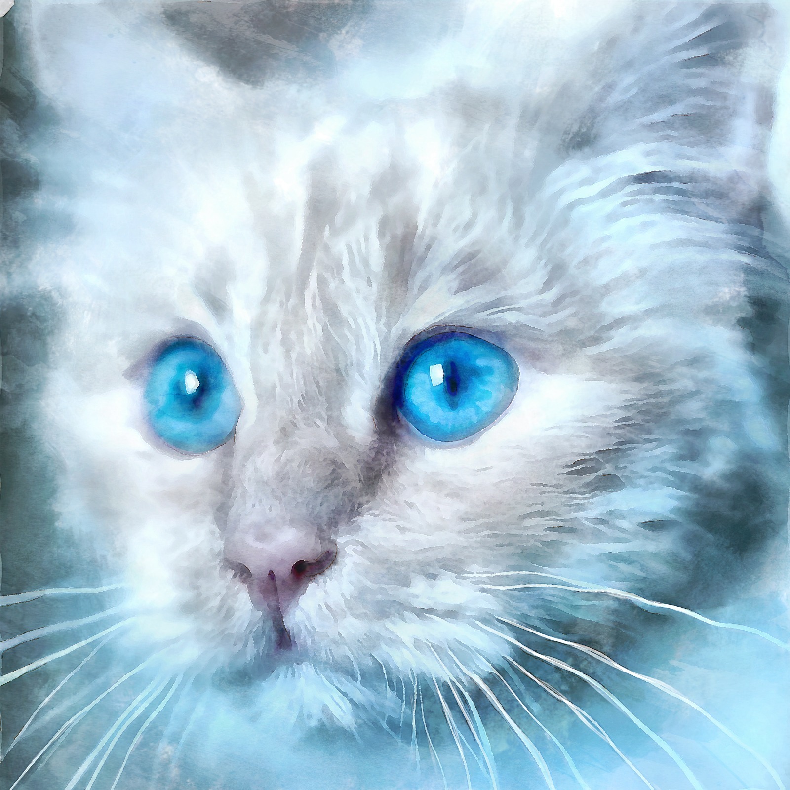Коты синий и белый картинки