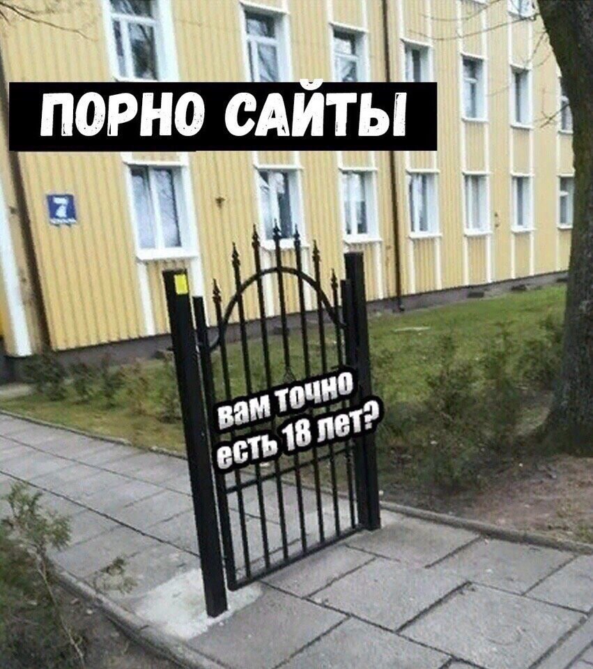 Запрет | Пикабу