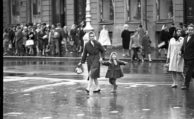 Фотографии всеволода тарасевича