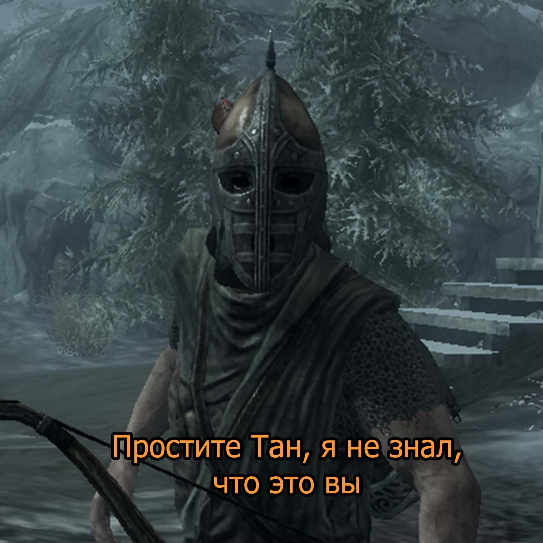 Стражник скайрим Мем. Skyrim стражники мемы. Скайрим мемы про стражников. Стражник скайрим.