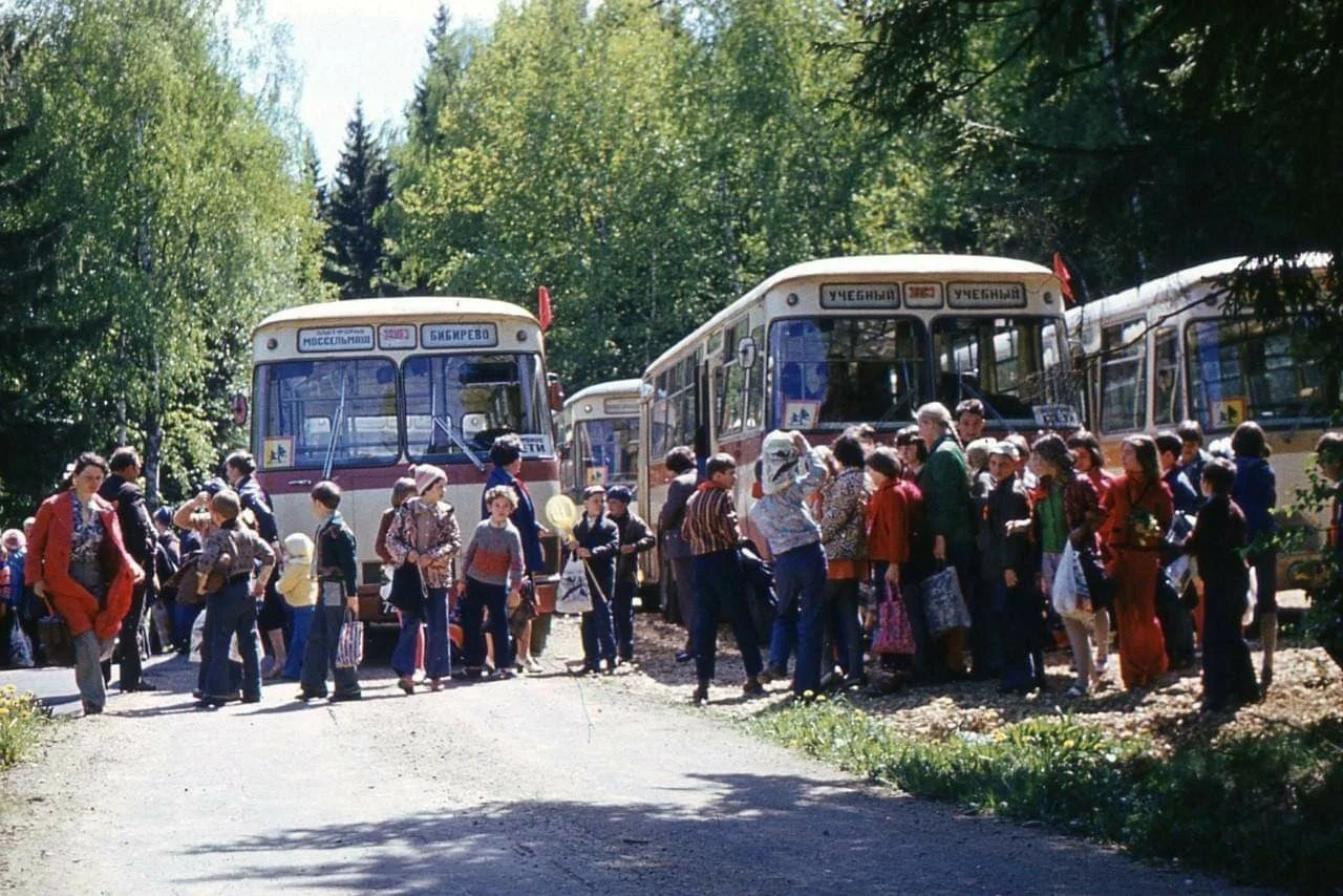 Про автобусы, про лагеря, про детство | Пикабу