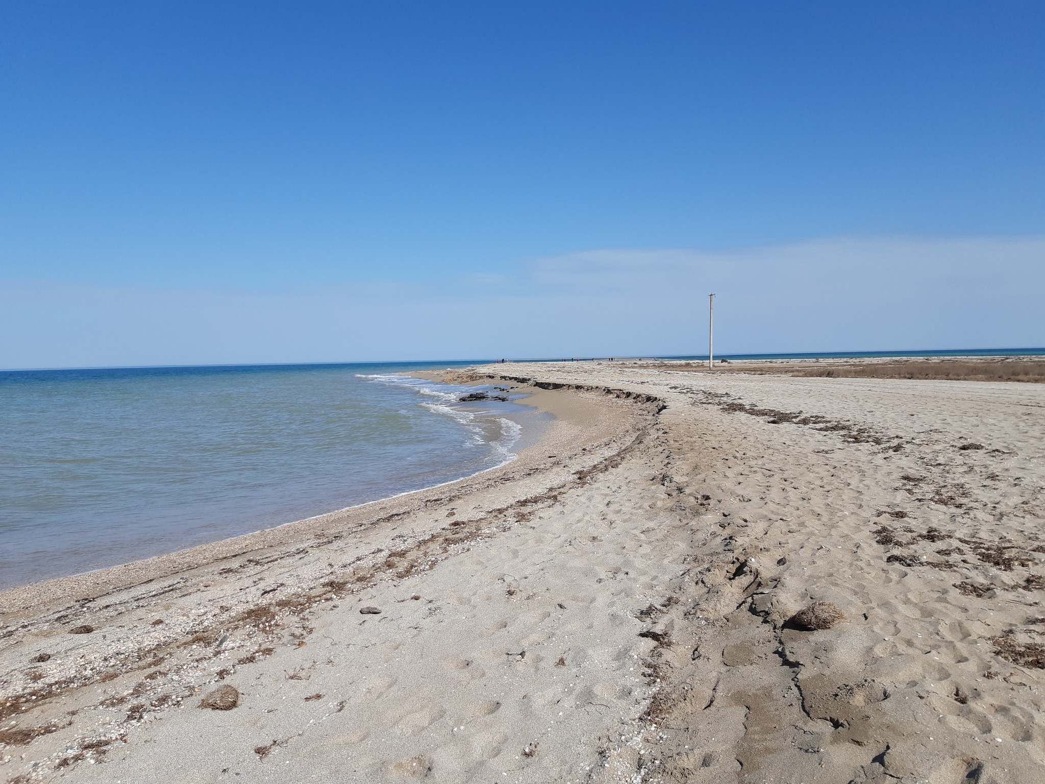 Стерегущее крым. Стерегущее Бакальская коса. Бакальская коса село Стерегущее. Стерегущее Раздольненский район. Коса Стерегущее Крым.