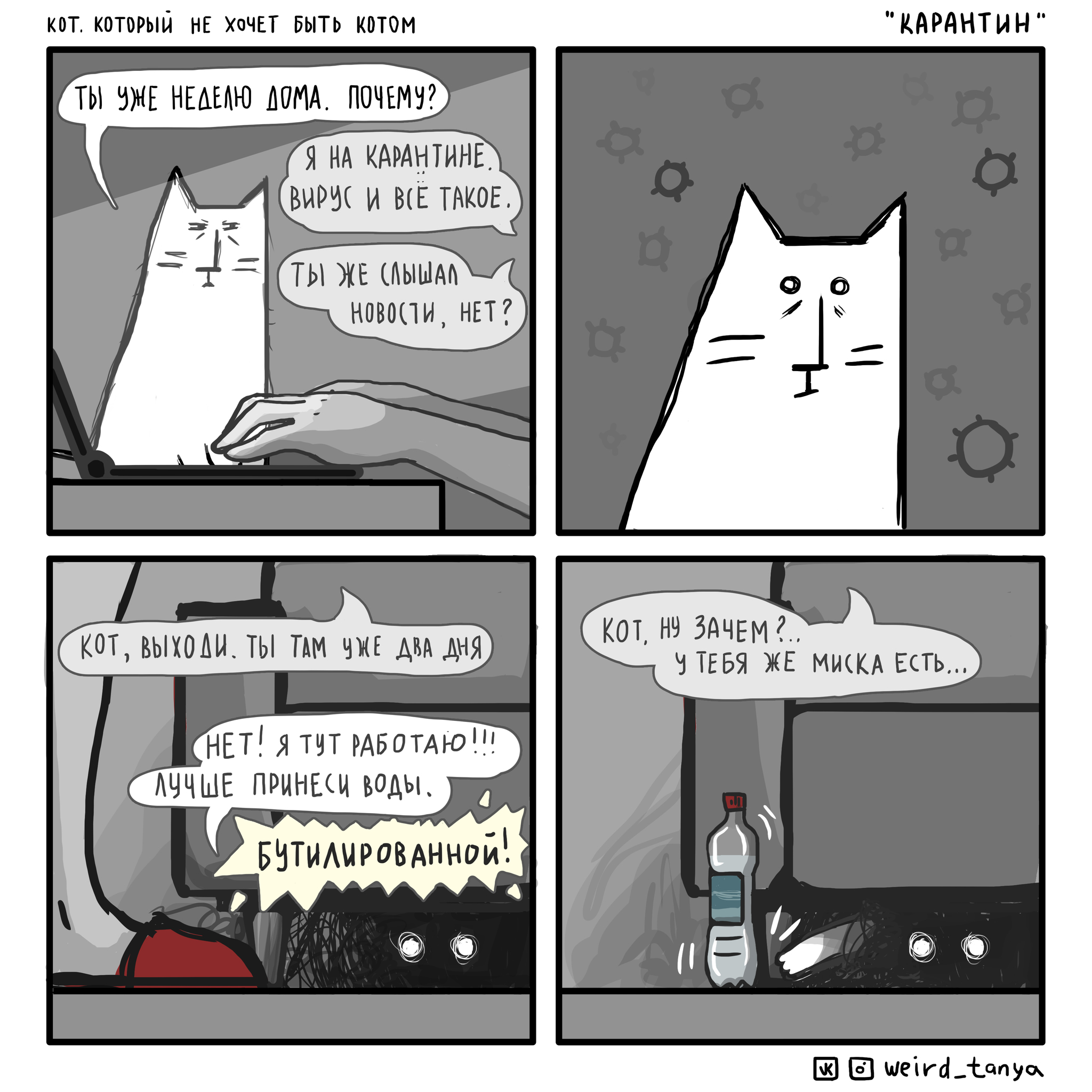 Коты суть отношений