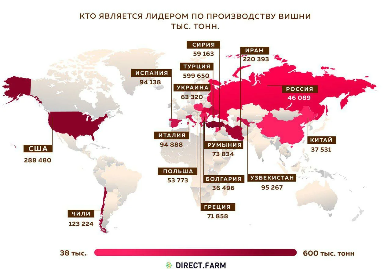 Страны-лидеры по производству вишни | Пикабу