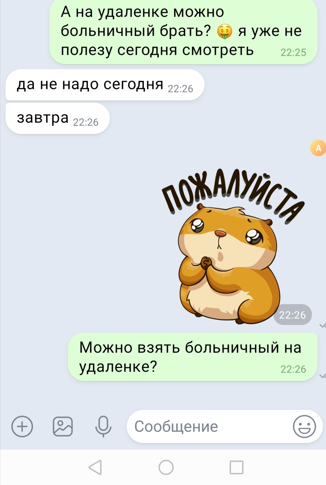 Удаленка | Пикабу