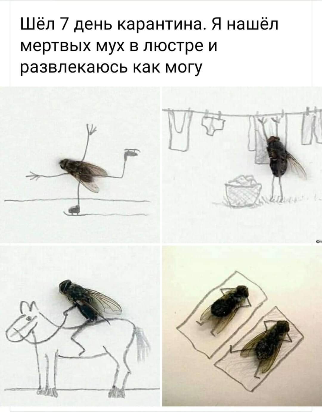 Юмор | Пикабу