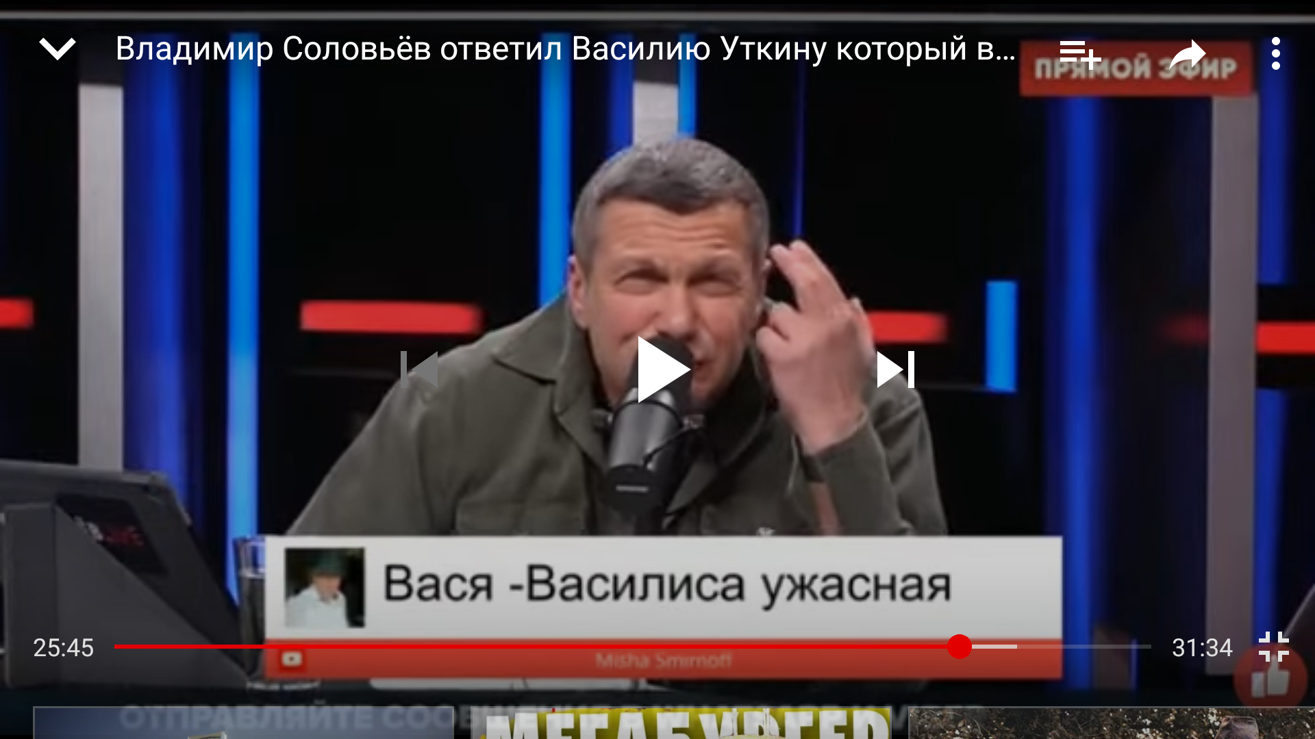 Продолжение птичьей битвы Уткин-Соловьев | Пикабу