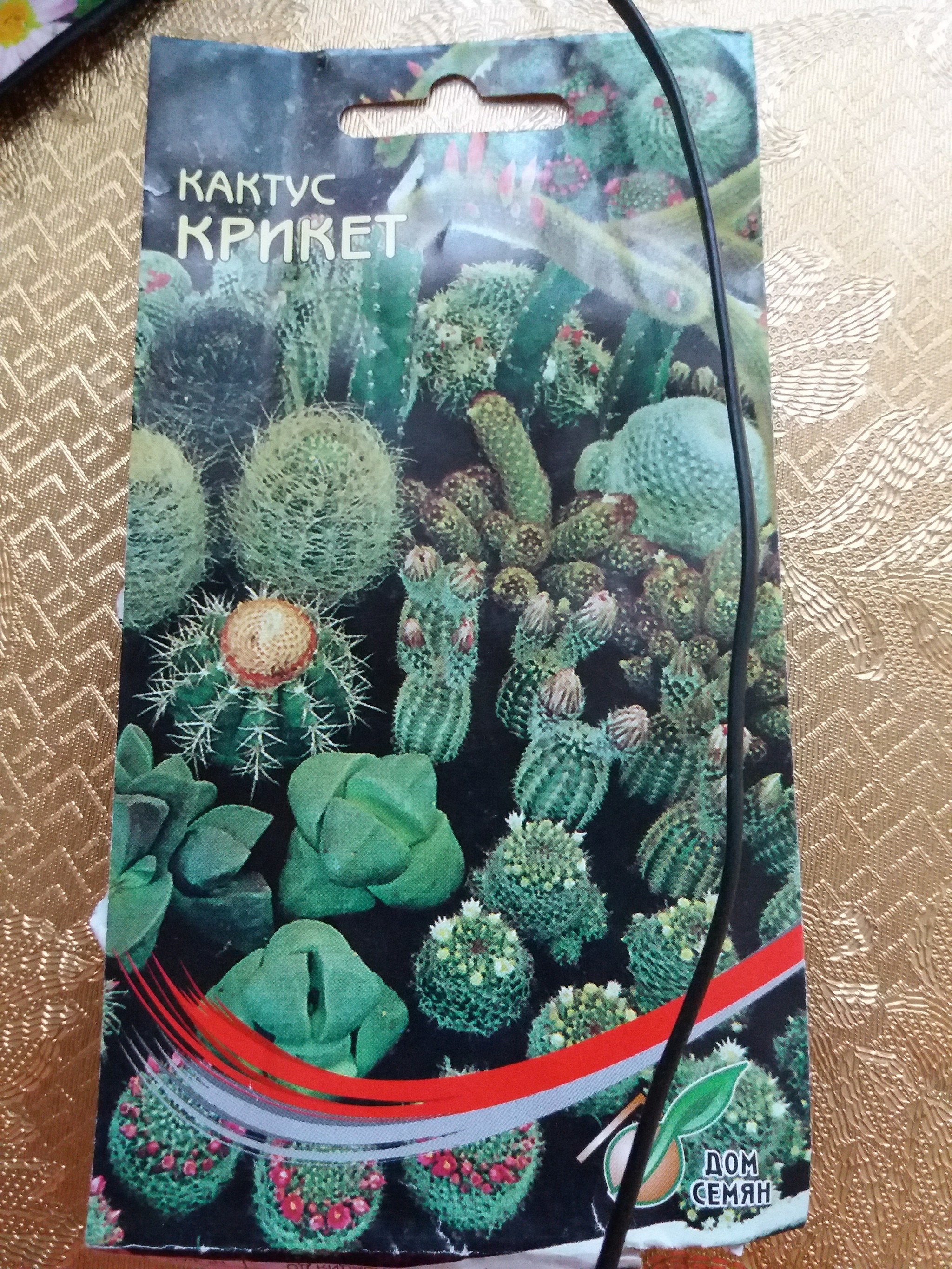 Посев кактусов | Пикабу