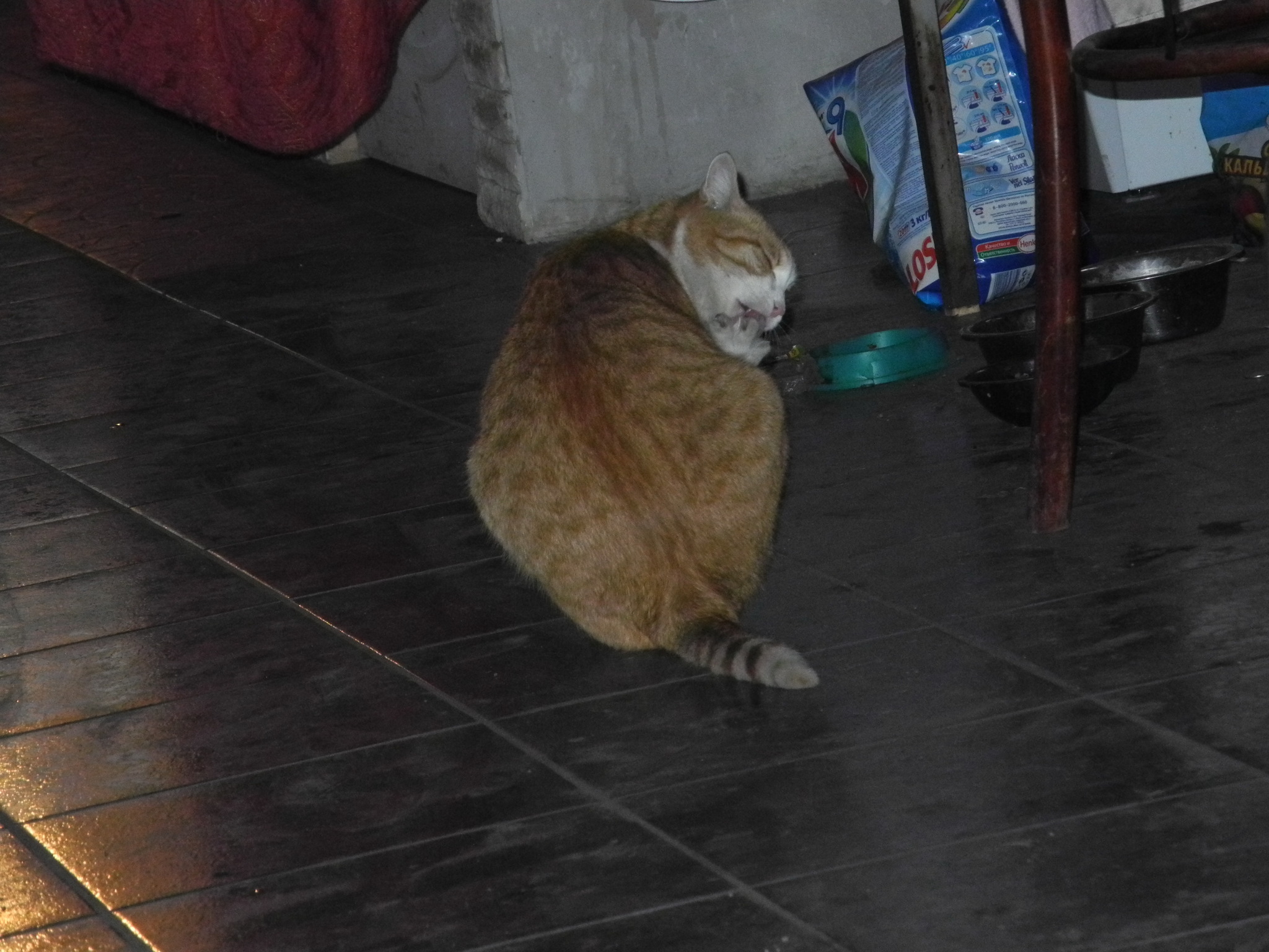 Подраздел 1.1: Случай на улице