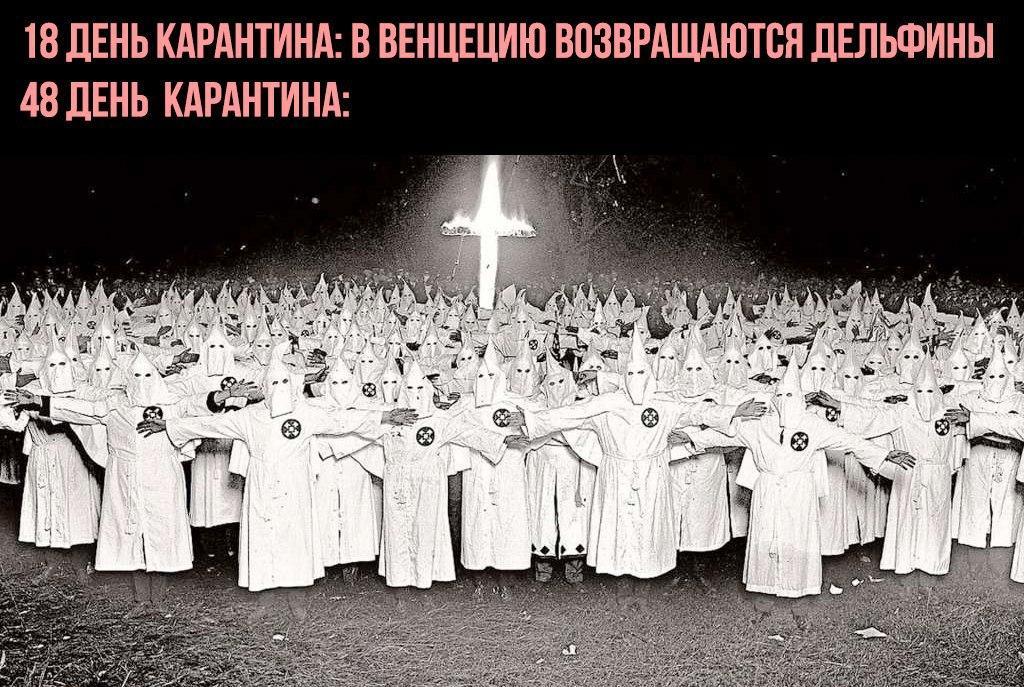 Breaking news | Пикабу