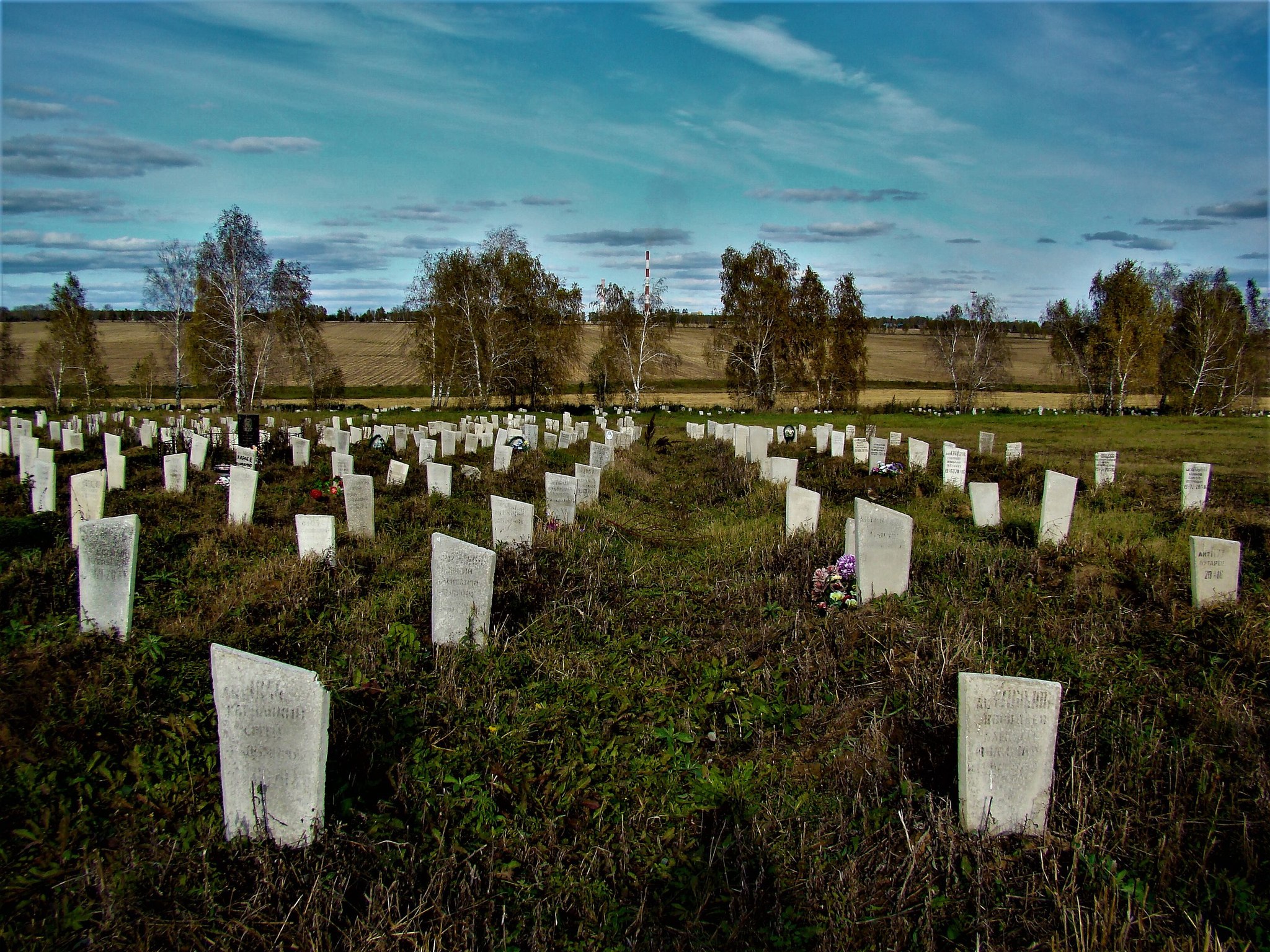 Кладбище на украине фото