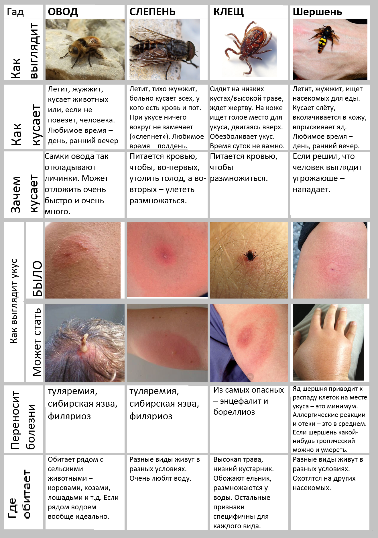 Симптомы аллергии на укус насекомых