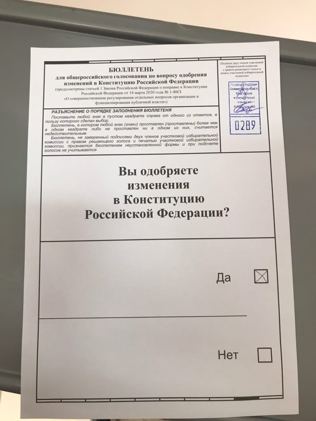 Сходил проголосовал за наше будущее | Пикабу