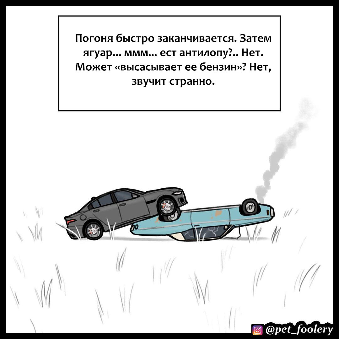 В мире машин | Пикабу