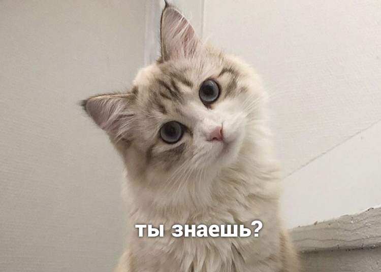 Бульбазавр | Пикабу
