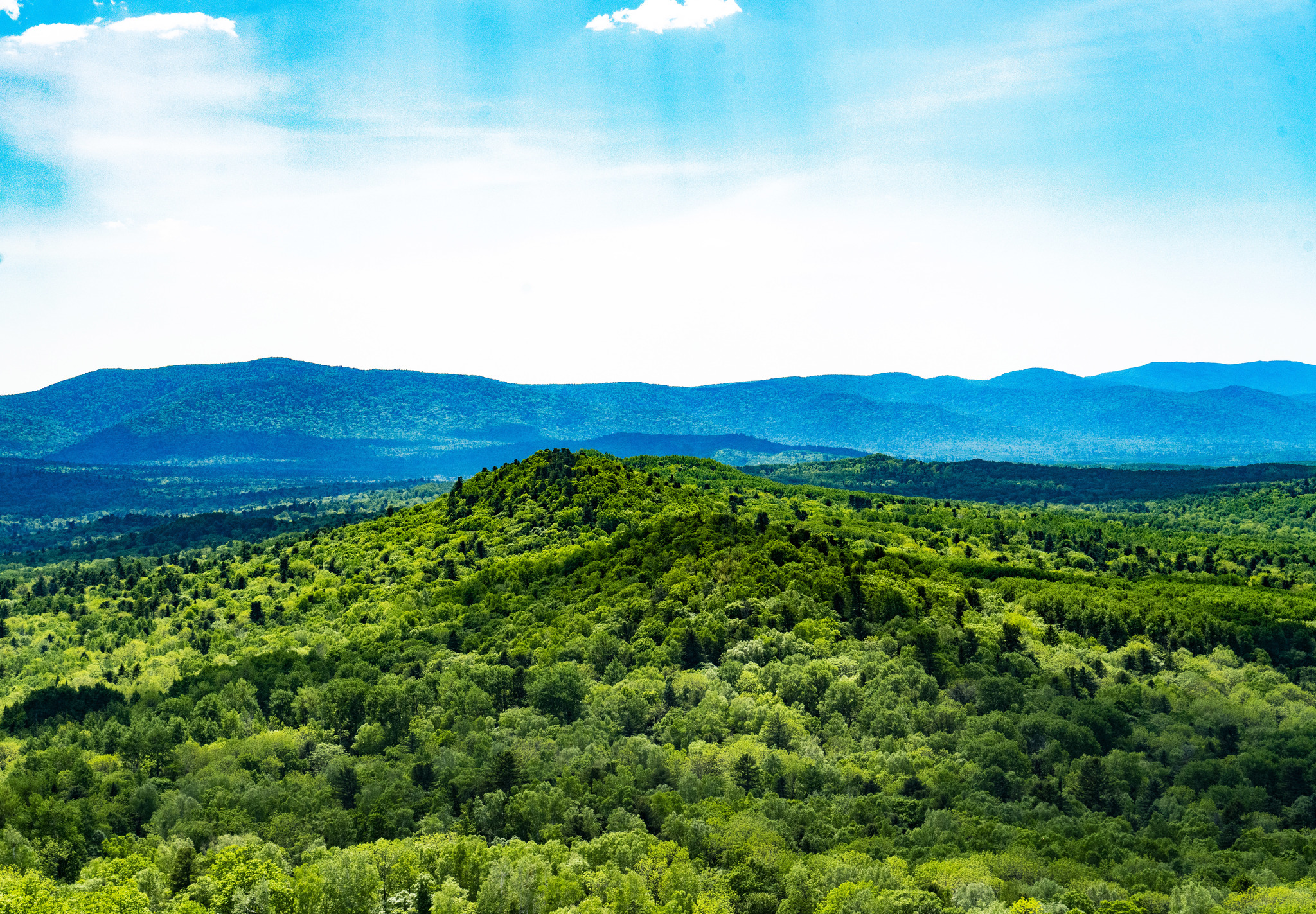 Хехцир хабаровск фото