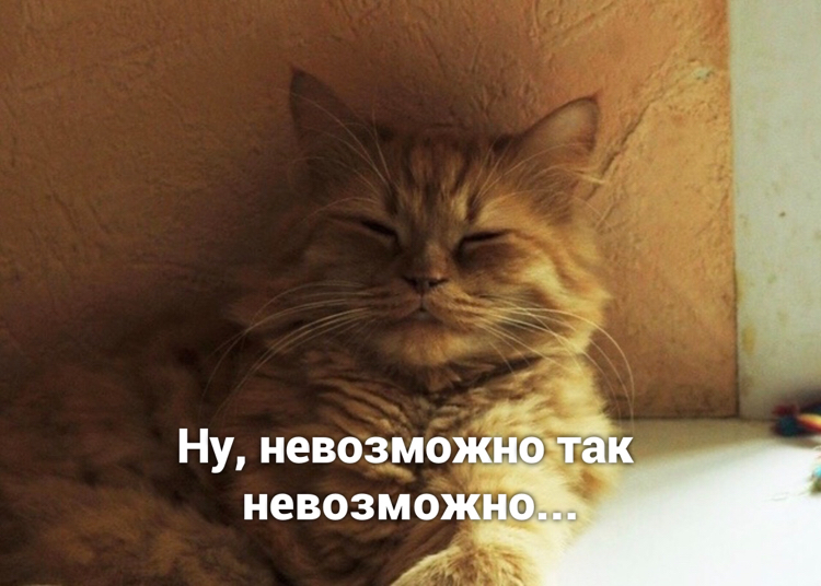 Оптимист | Пикабу