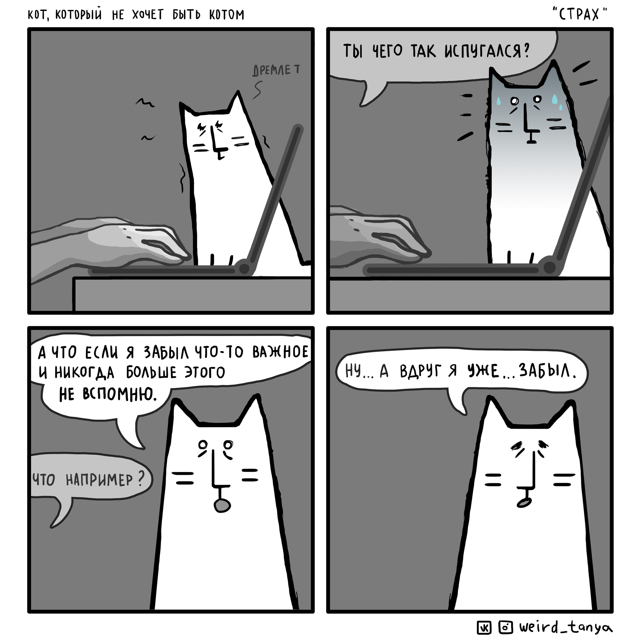 Комиксы по котам