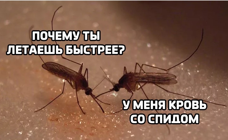 Диалог | Пикабу