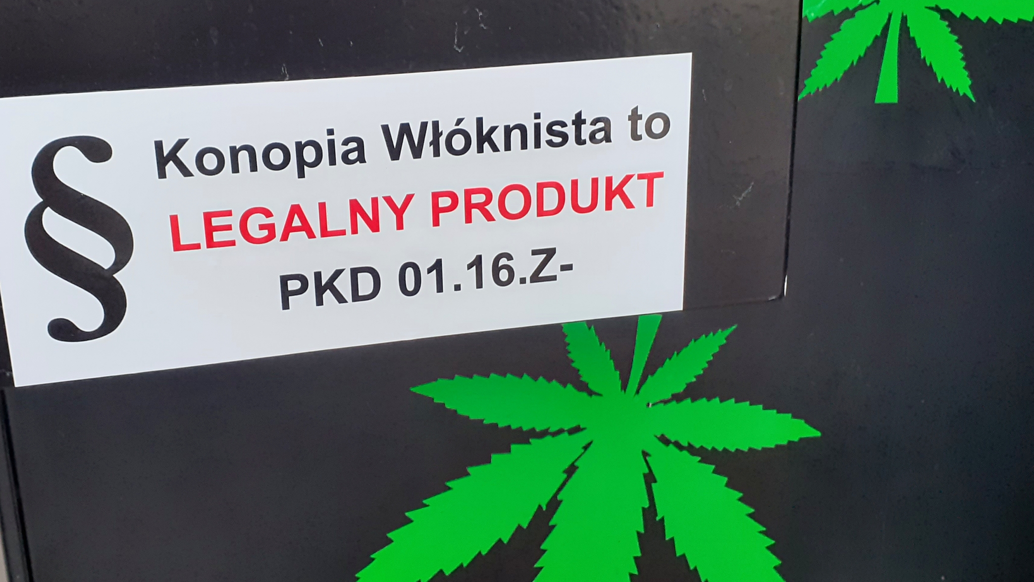 Польша марихуана марихуана рэп