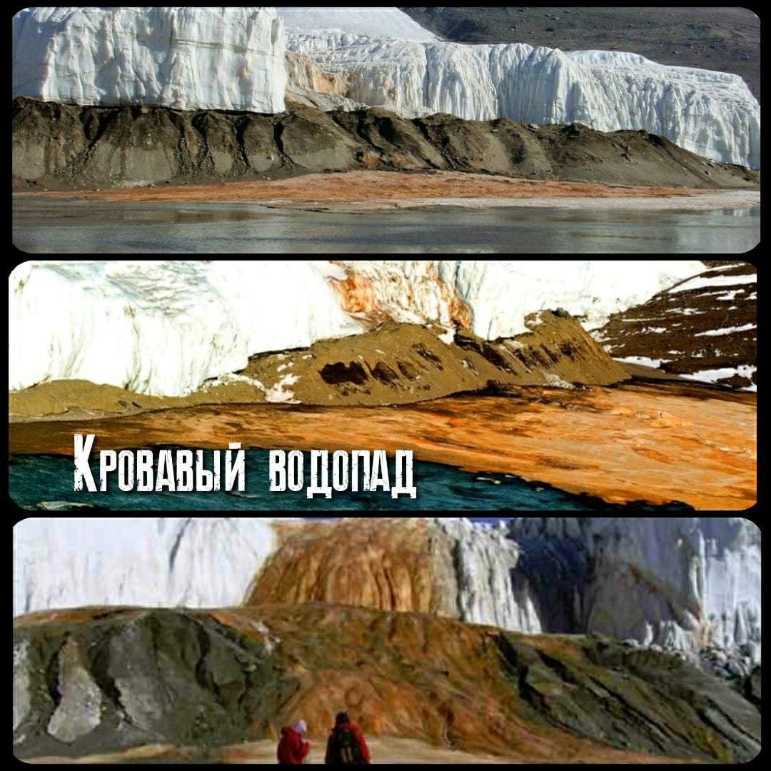 Самые кровавые водоемы в мире | Пикабу