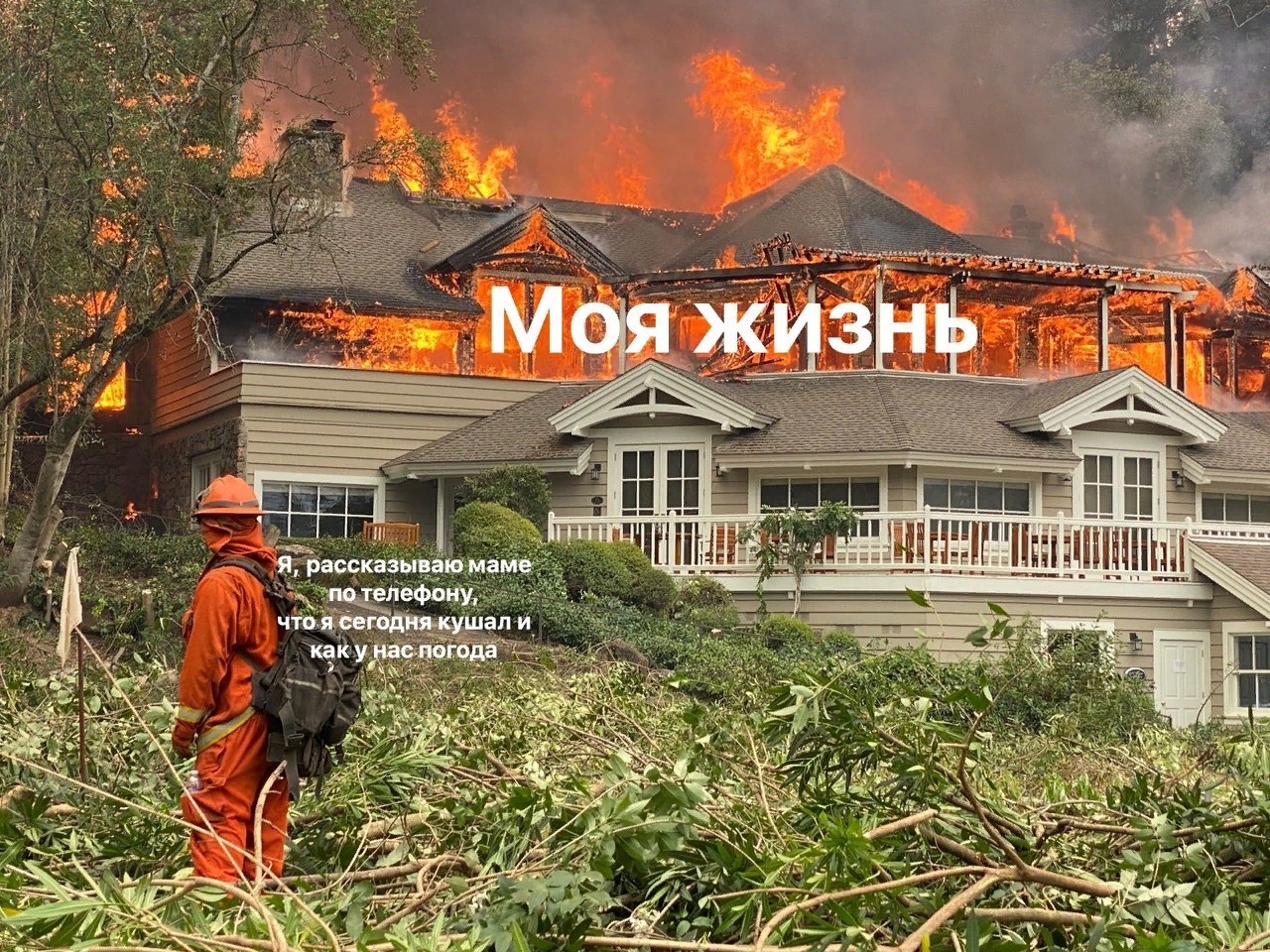 This is fine | Пикабу