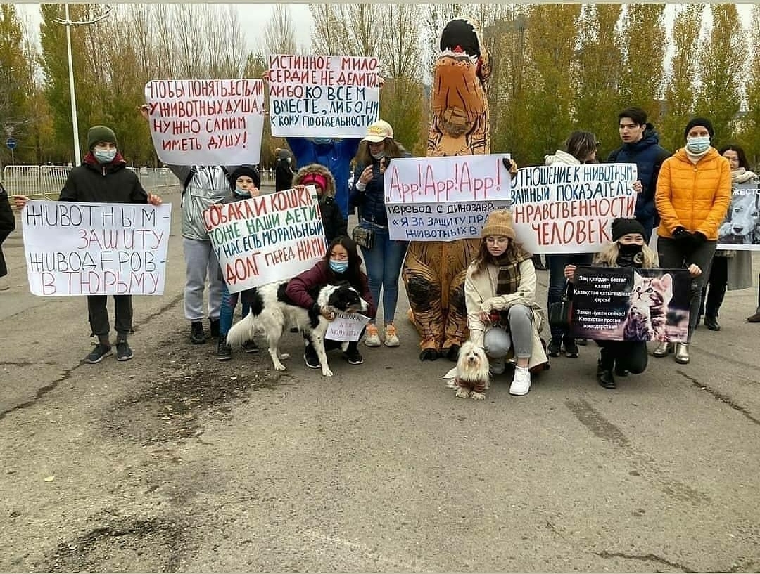 Мирный митинг в Нур-Султане для спасения животных | Пикабу