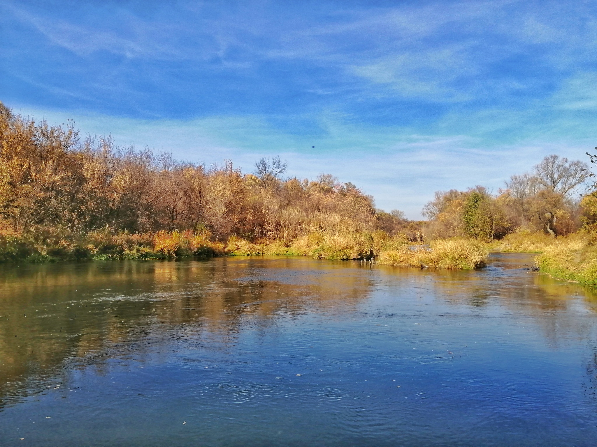 Река Медведица осень