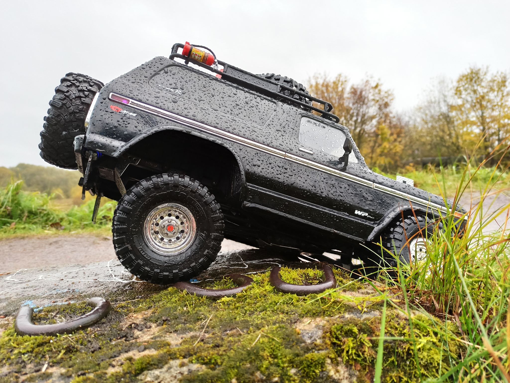 Великая трофи модель Traxxas TRX4 | Пикабу