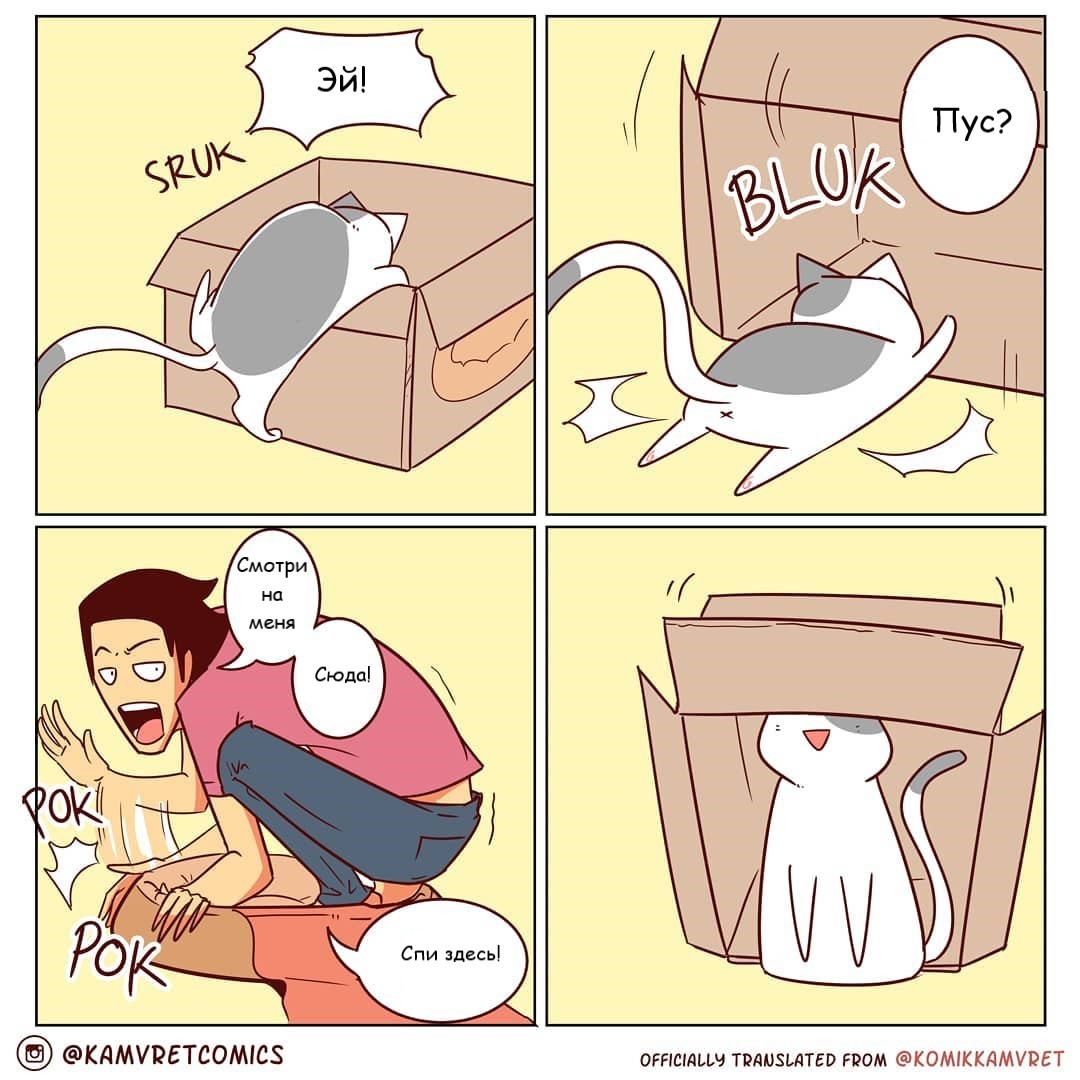 Кот пикабу