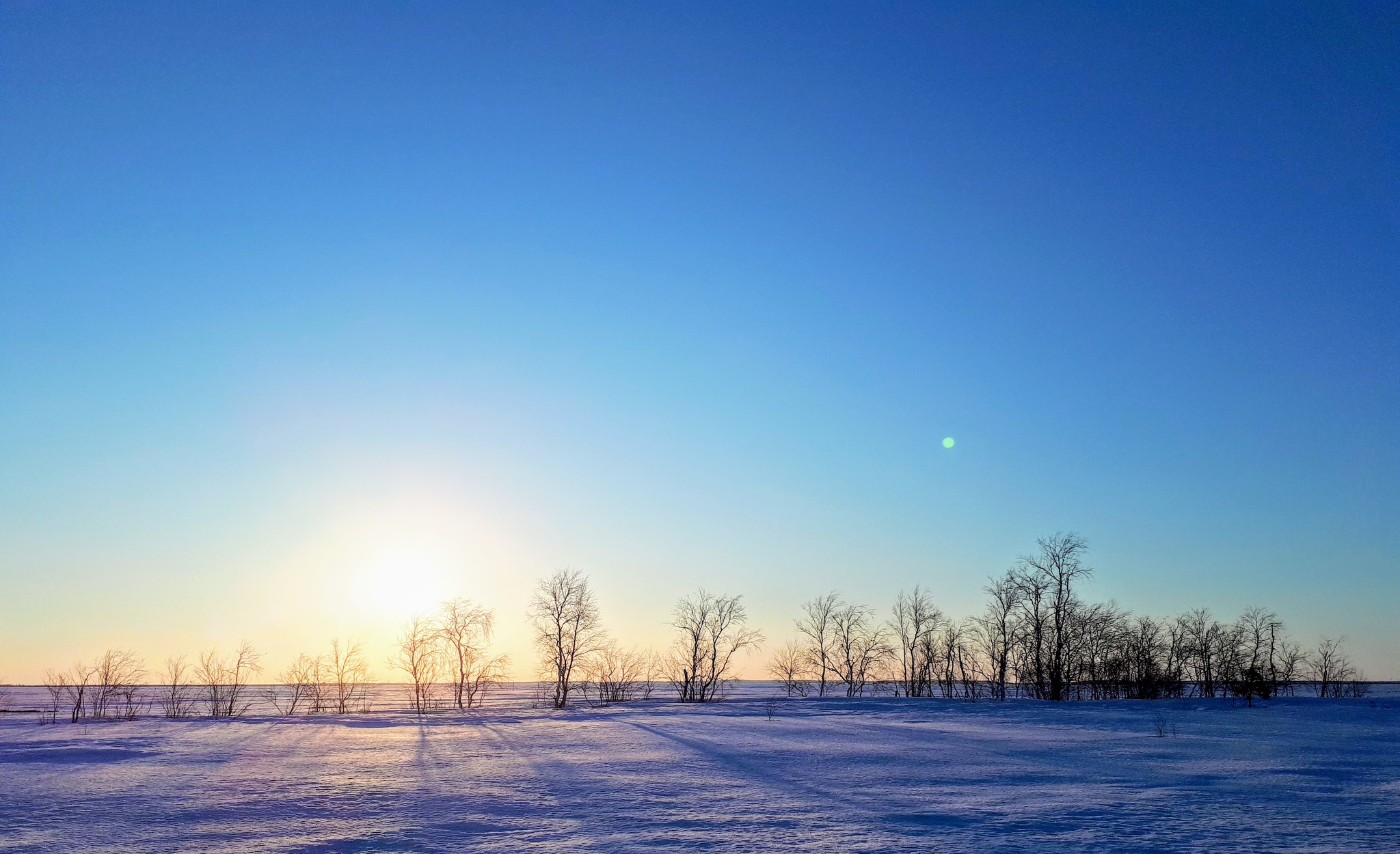 Зимний пейзаж с зеленым небом