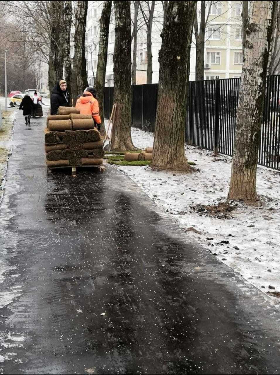 Сезон укладки газонов открыт | Пикабу