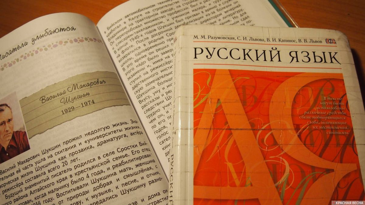 В Киргизии предложили убрать официальный русский язык и включить английский  | Пикабу