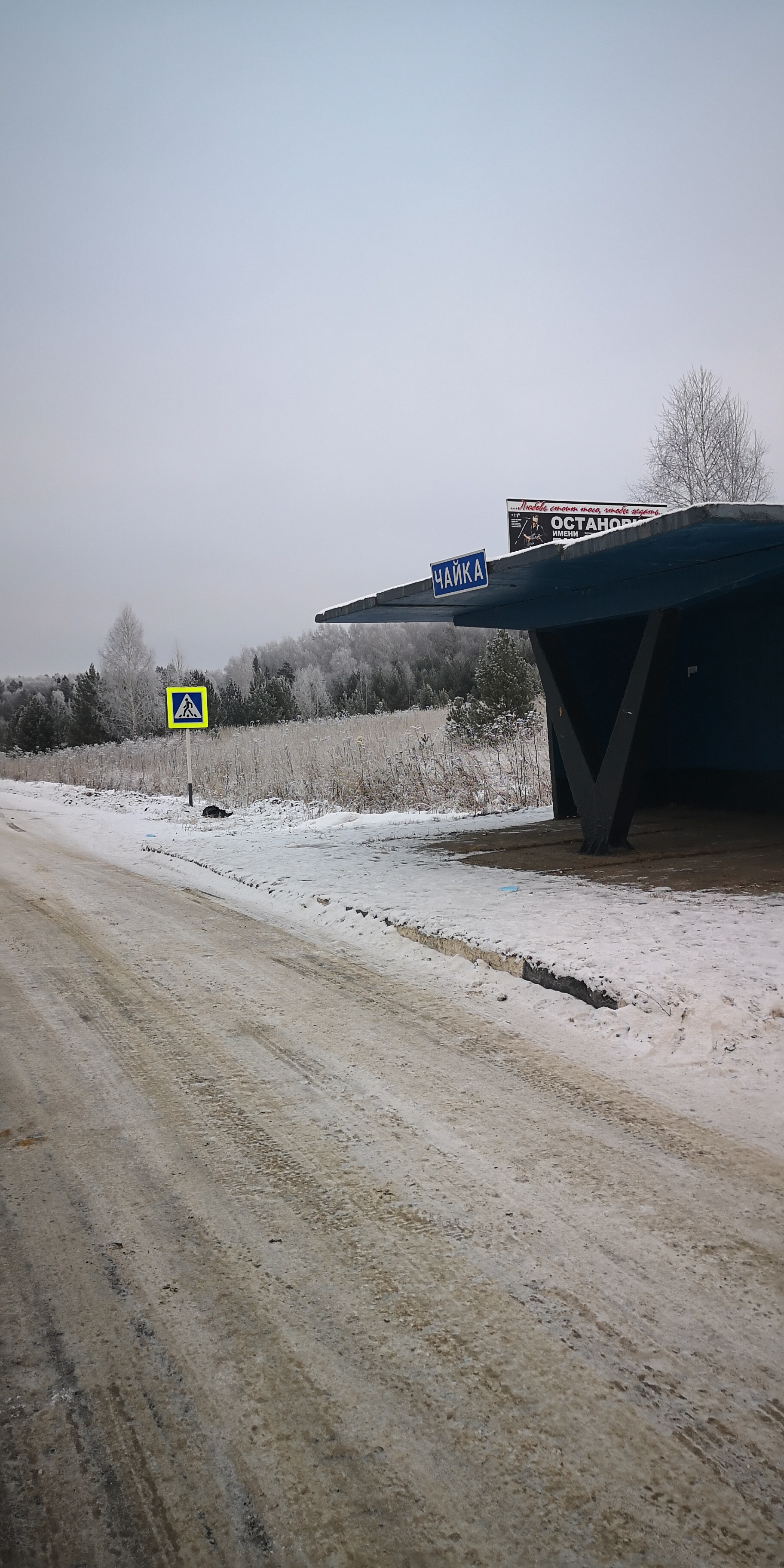 Цой жил, Цой жив, Цой будет жить... | Пикабу