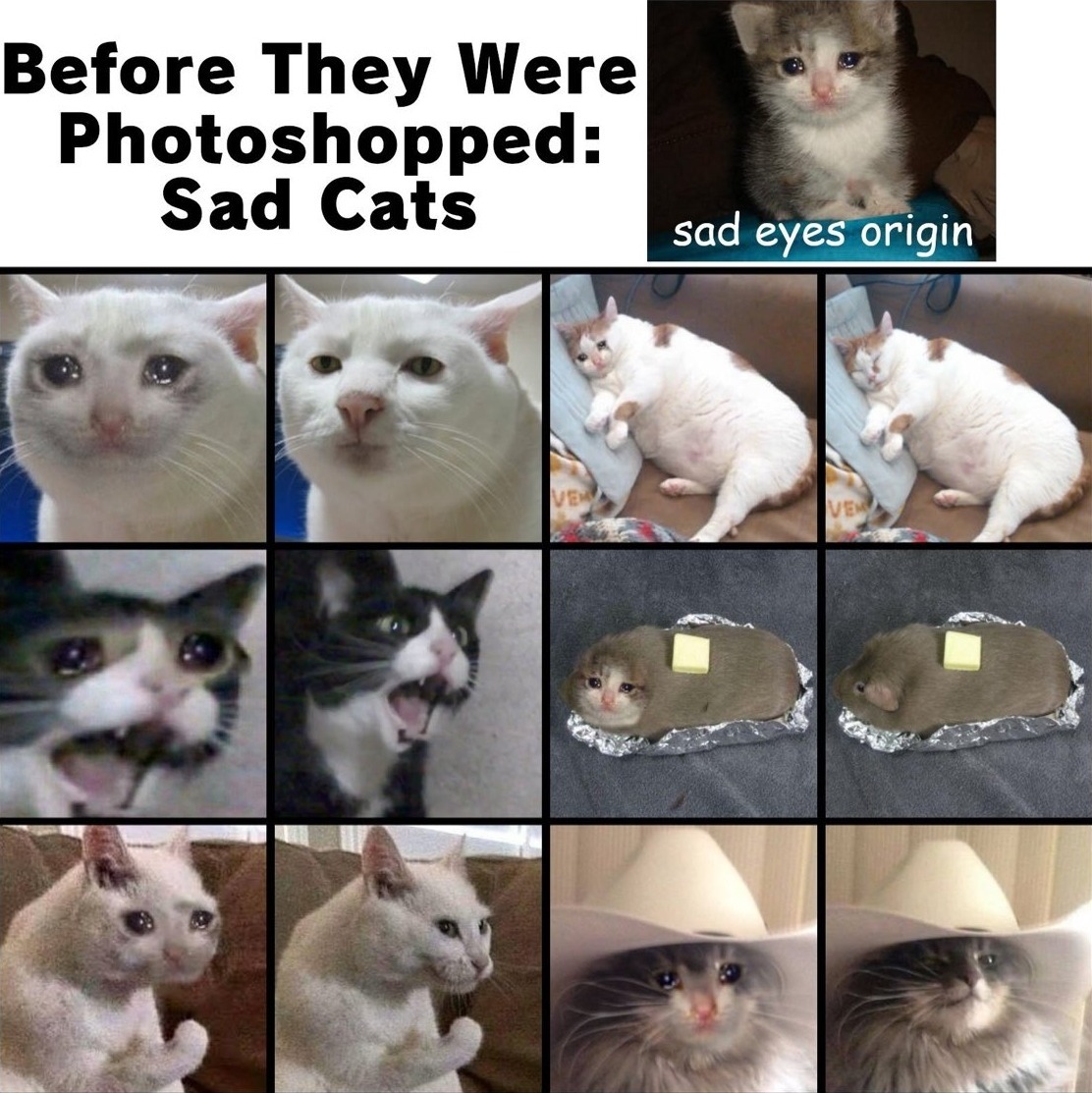 Кот грустный рисунок - 56 фото