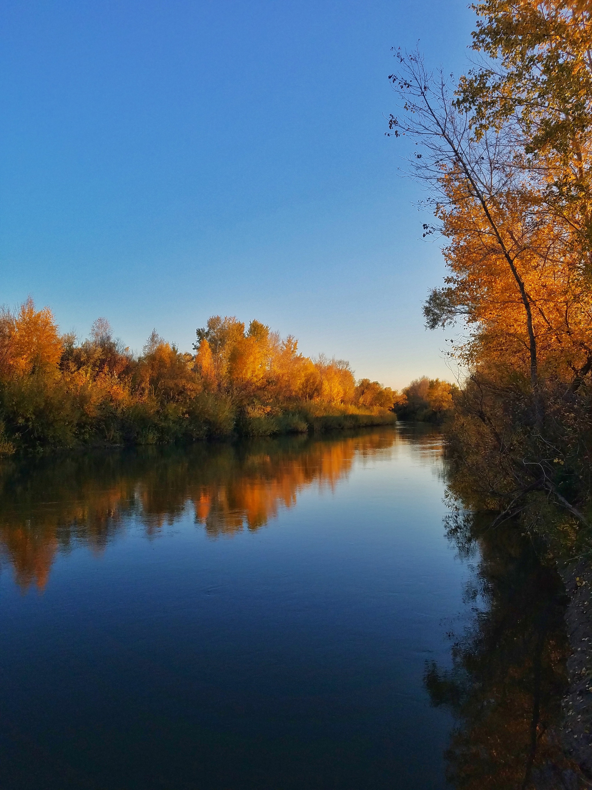 Фото Реки Алей