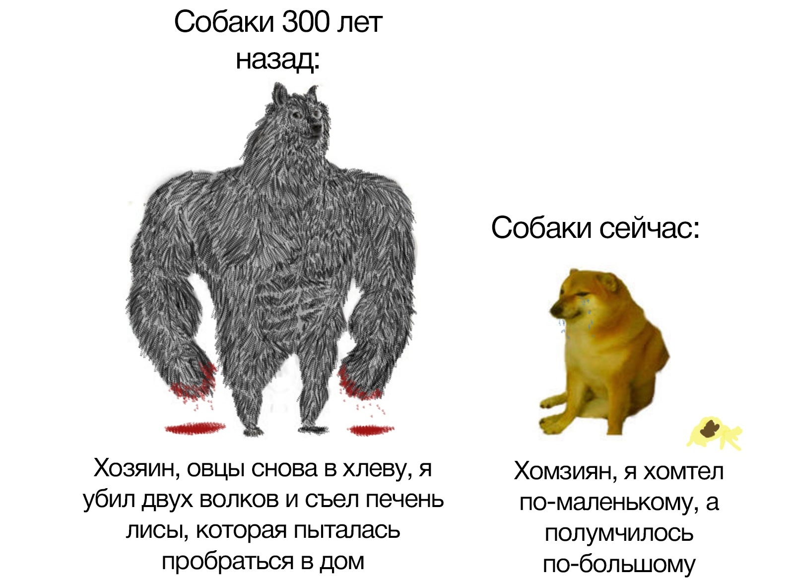 Собаки раньше были более ответственные | Пикабу