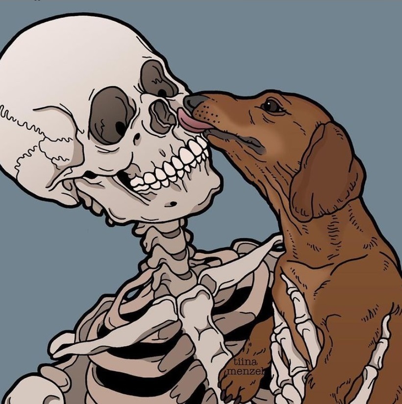 Статья: Нужны ли кости собаке?