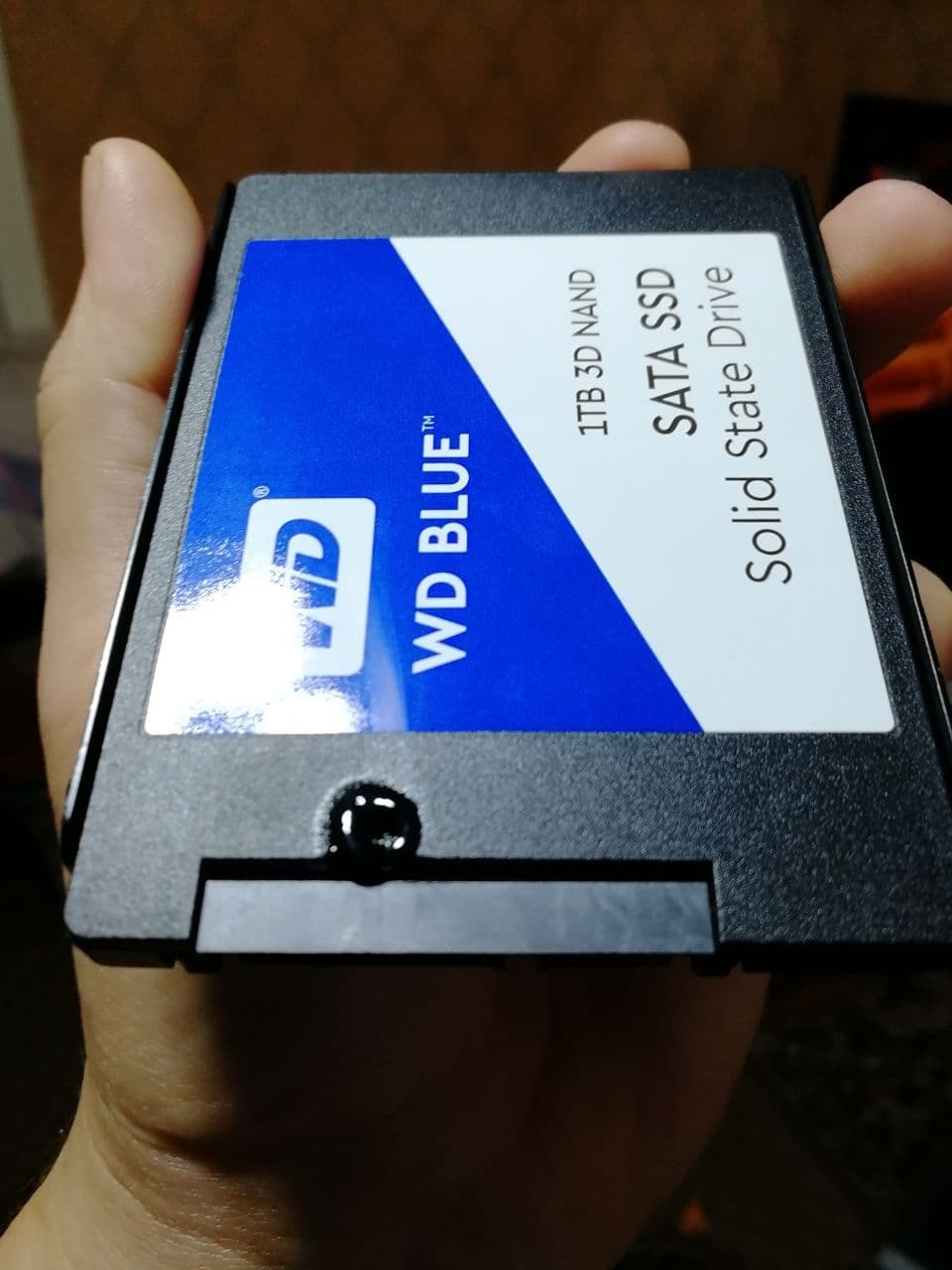 SSD WD Blue [WDS100T2B0A] Загорелся. Стоит ли идти до конца с ДНС ? | Пикабу