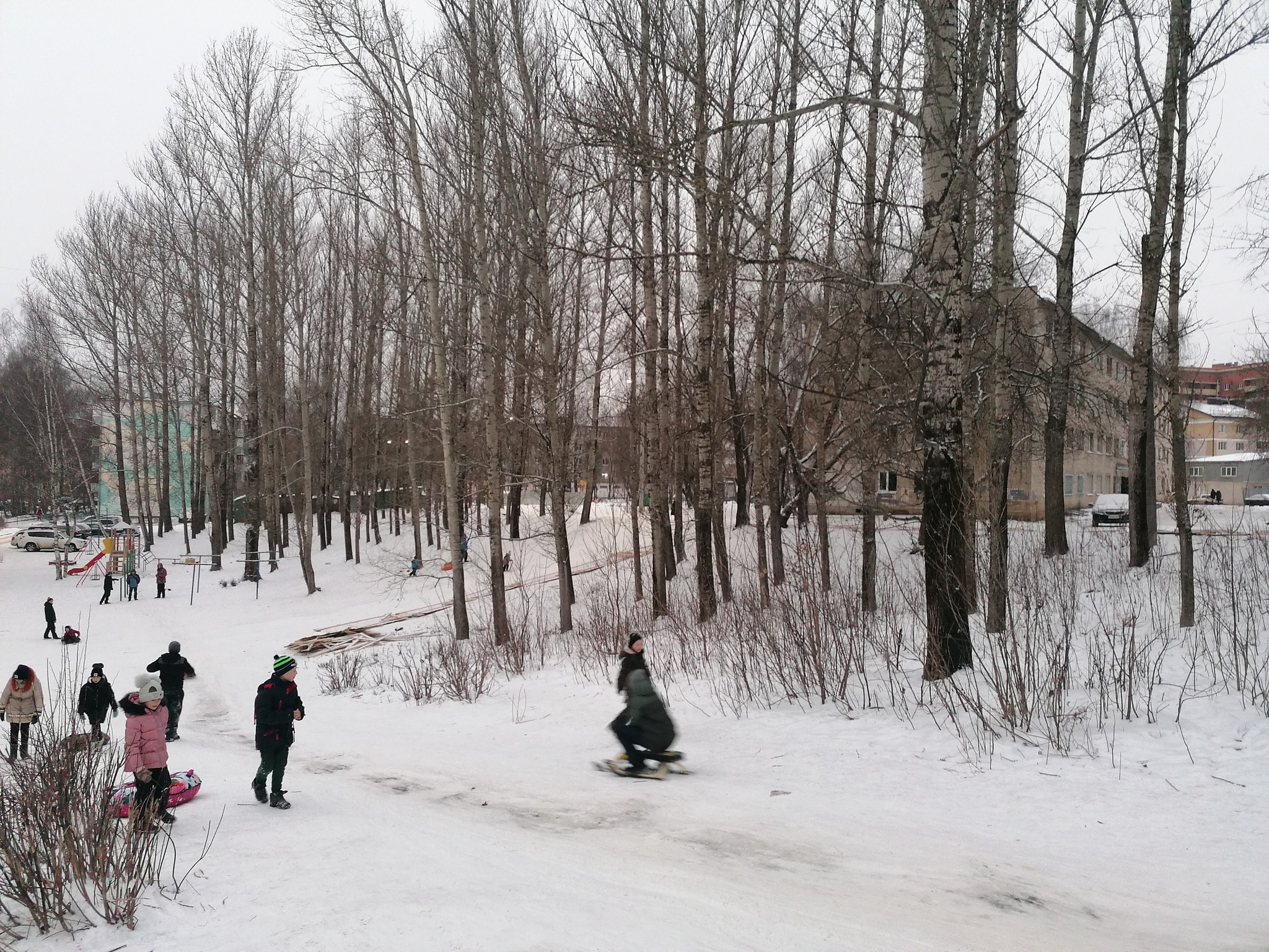 В Костроме уничтожают зелёную зону ради дружественного застройщика | Пикабу