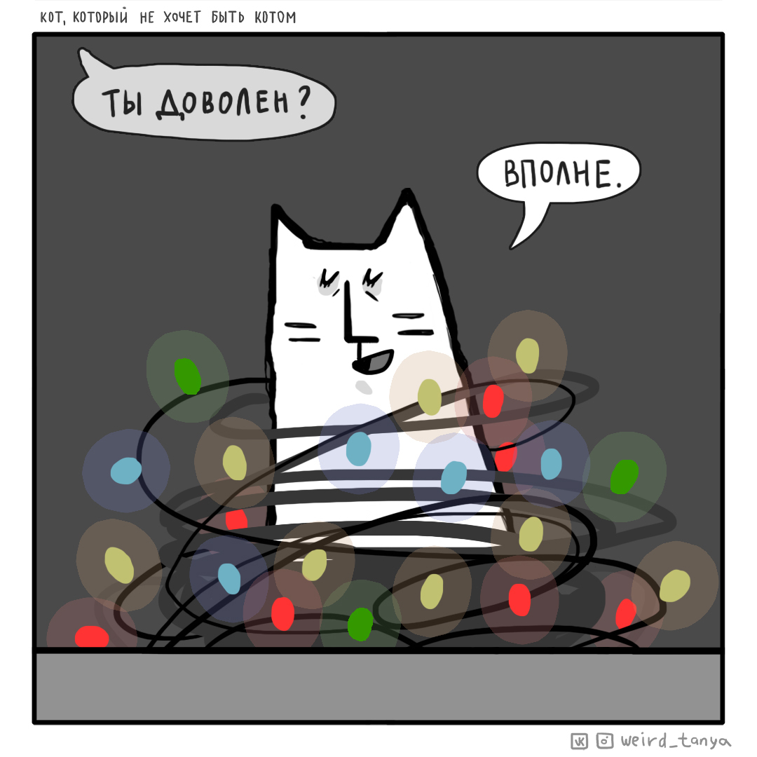 Кот пикабу