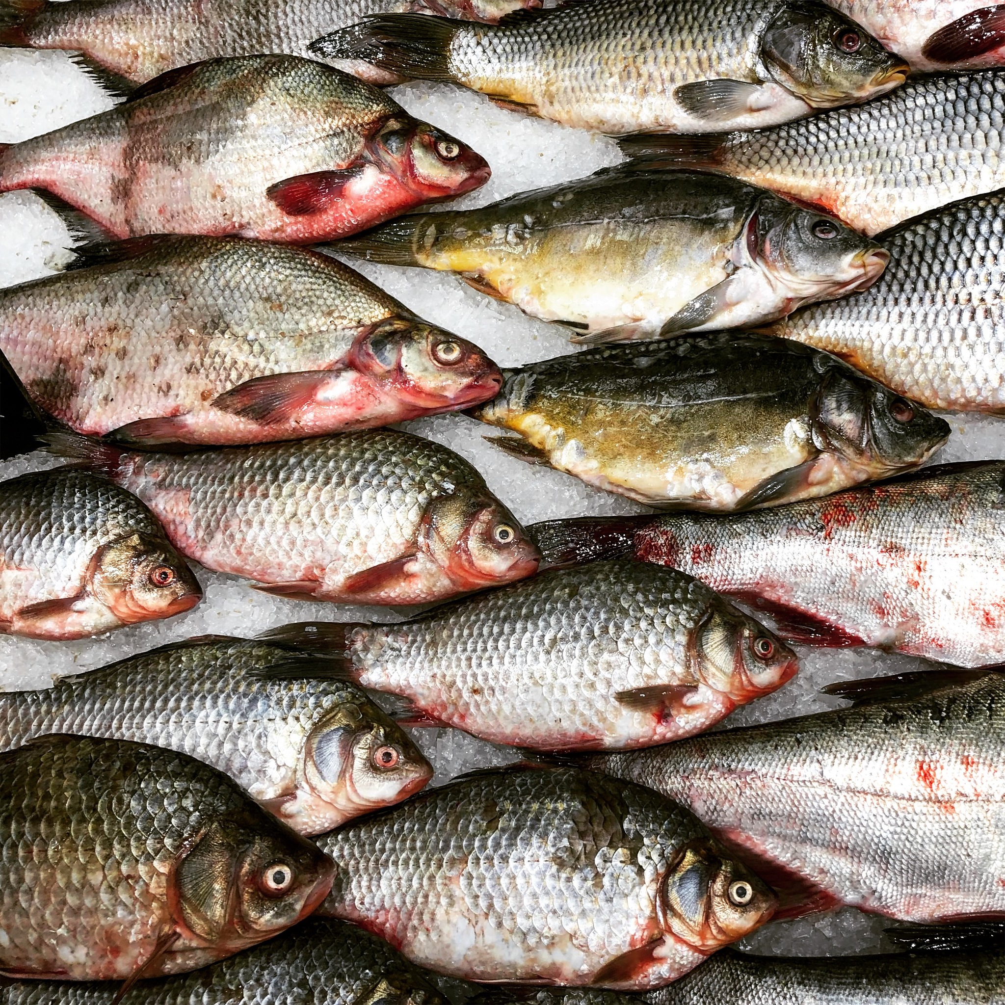 Негативные отзывы в интернете почти всегда обман | Пикабу