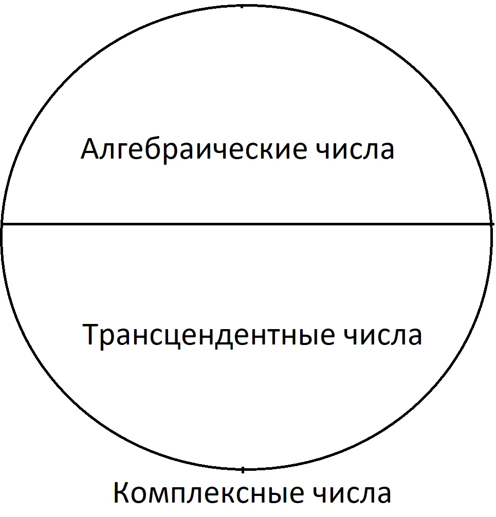 Алгебраические числа. Трансцендентные числа примеры. Трансцендентная математика. Алгебраические и трансцендентные числа. Иррациональные и трансцендентные числа.