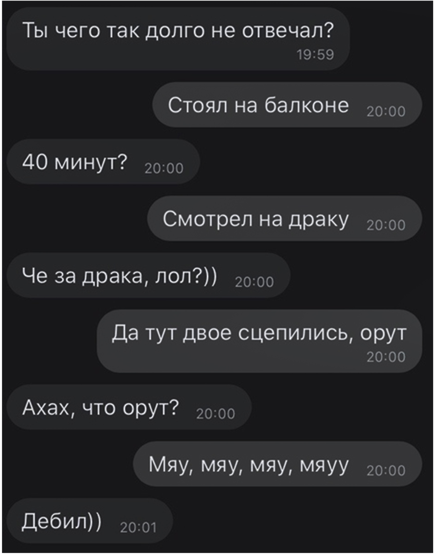 Драка | Пикабу