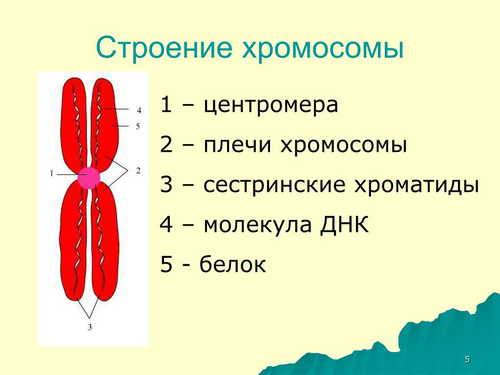 Какая болезнь заставляет танцевать? | Пикабу