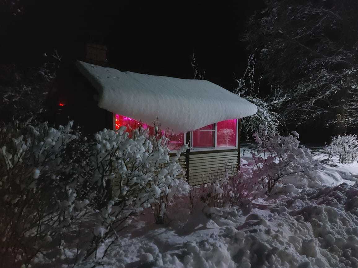Хутор Вечерняя заря. Возможно, самое лучшее место на земле | Пикабу