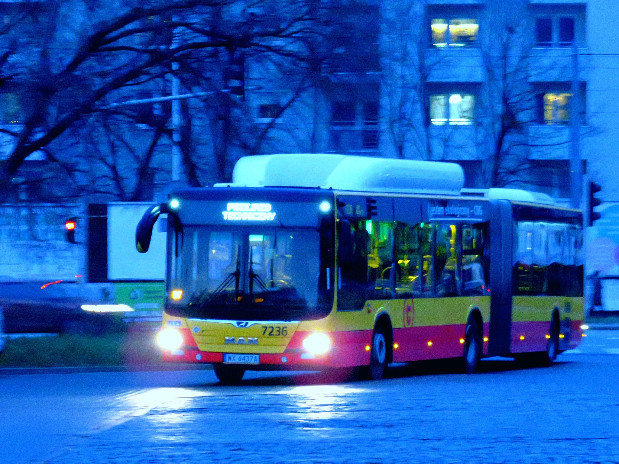 Остановки ночного автобуса. Ночные автобусы. Вечерний автобус. Автобус ночью. Ночной общественный транспорт.