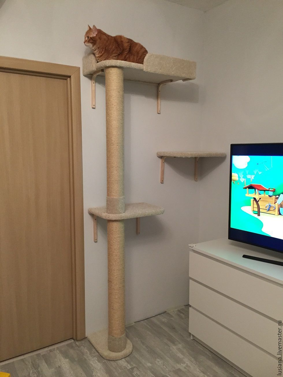 Домики Для Кошек Фото